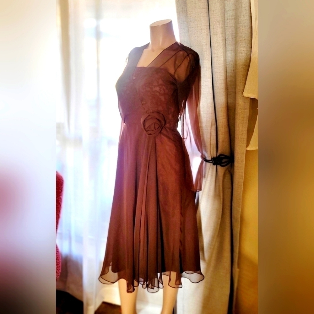Miss Elliette Vintage Brown Chiffon Dress